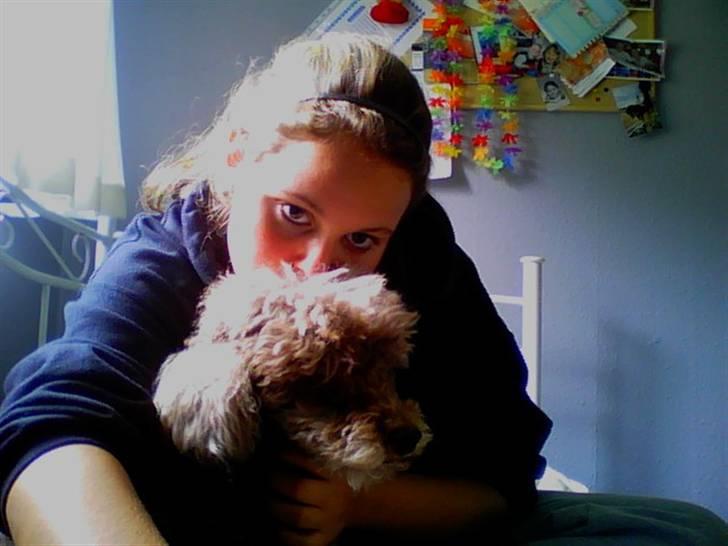 Mellempuddel Bamse R.I.P 10-03-11 - Er vi ikk søde sammen? billede 12