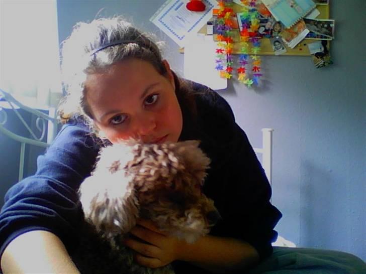 Mellempuddel Bamse R.I.P 10-03-11 billede 13