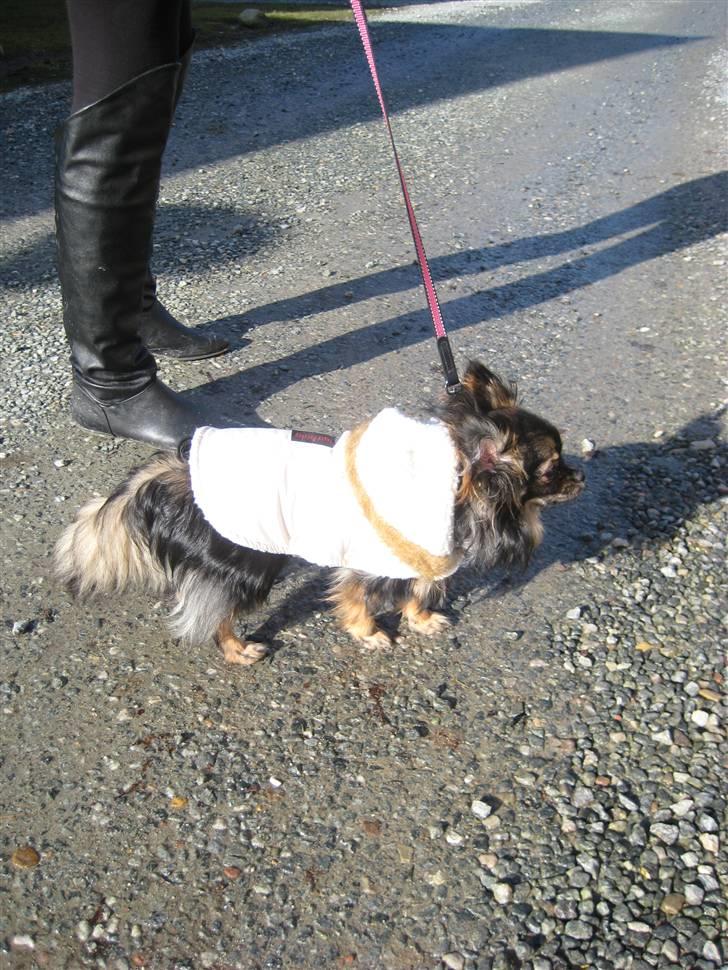 Blanding af racer Chanel <3 billede 14