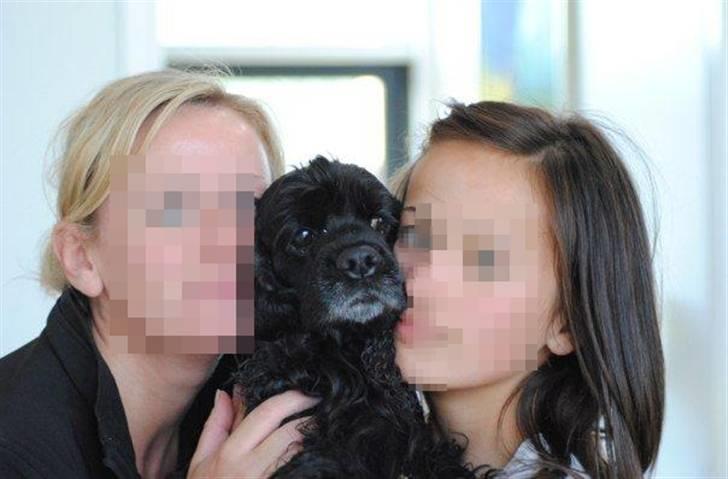 Amerikansk cocker spaniel Truly Yours Barbie billede 3