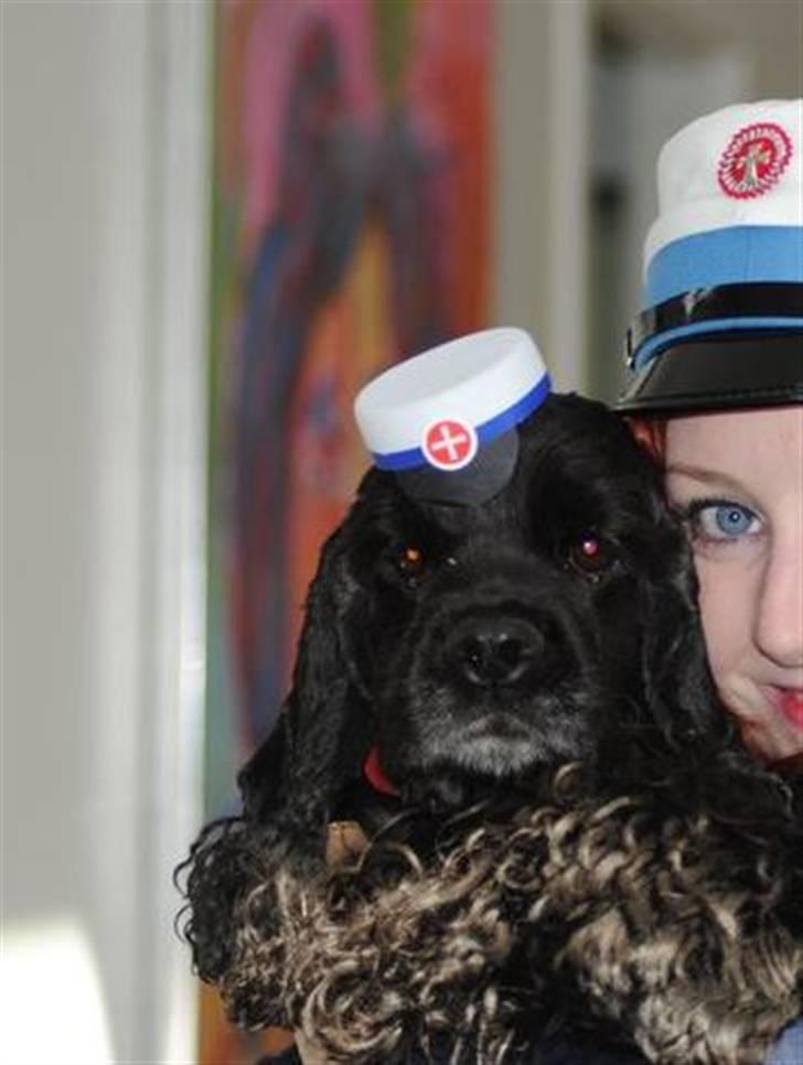 Amerikansk cocker spaniel Truly Yours Barbie billede 5