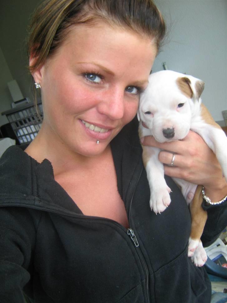 Amerikansk staffordshire terrier Boss - Min ejer og jeg , da jeg var ca. 5uger .. billede 3