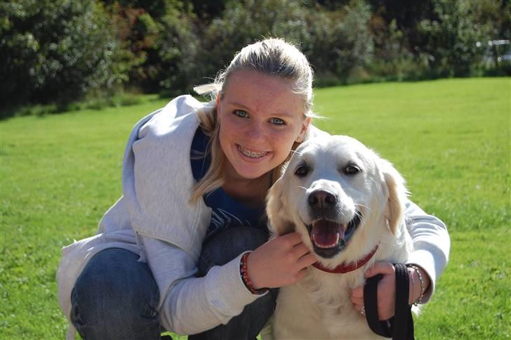 Golden retriever Filippa K Av Vervik [Himmelhund] - Tak fordi i så med;) Smid en bedømmelse! billede 20