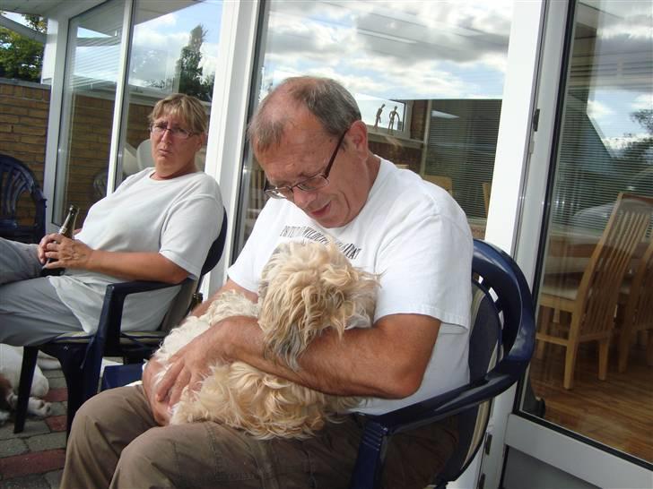 Shih tzu Sniffer - Sniffer på besøg ved Linda og Preben  billede 20