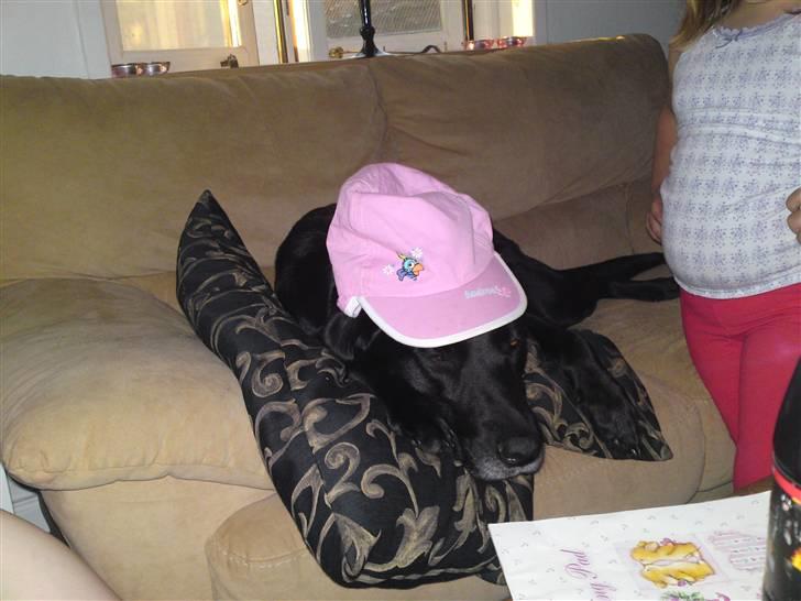 Blanding af racer gigi billede 20