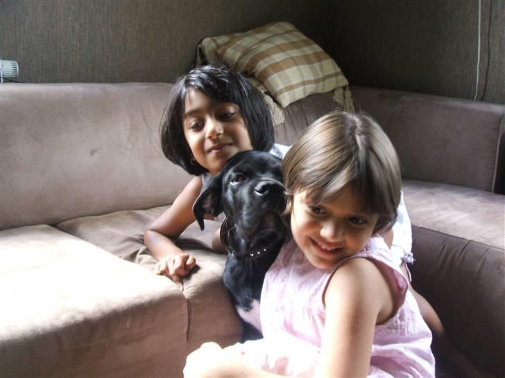 Cane corso rover billede 2