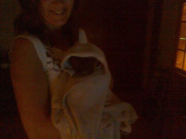 Blanding af racer timon - ET - haha timon efter et dejligt bad :) billede 7