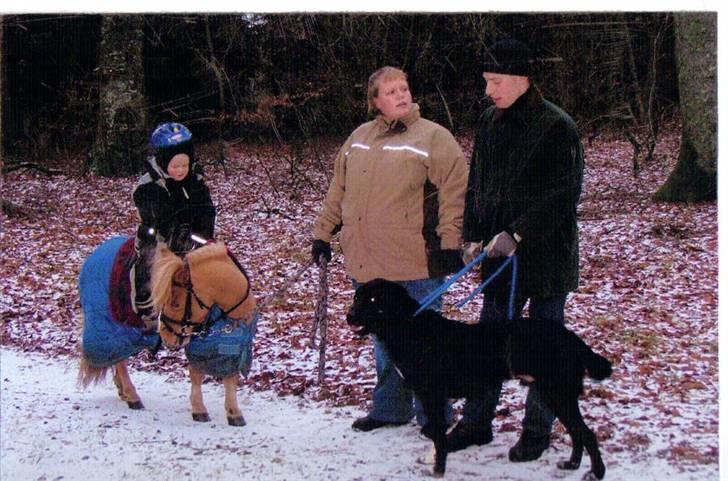 Blanding af racer Balder - jule tur i skoven, hyggeligt billede 8