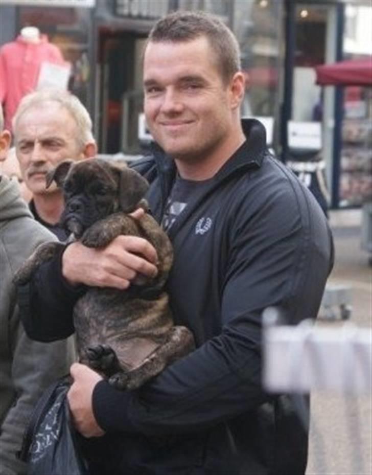 Olde english bulldogge Arnold, bullgaards billede 13