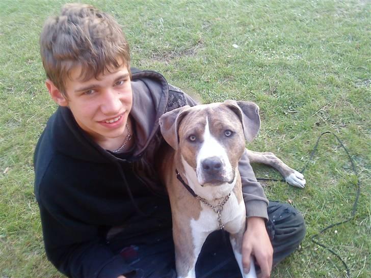 Blanding af racer Kento - iii du tager da også billeder hele tiden !!!! billede 7