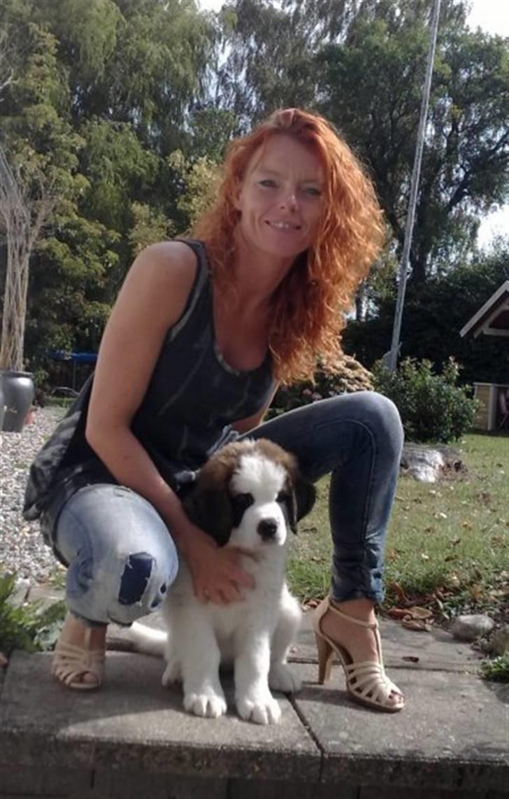 Sankt bernhardshund Samson * MIN MORS* - Mor og samson :) billede 6