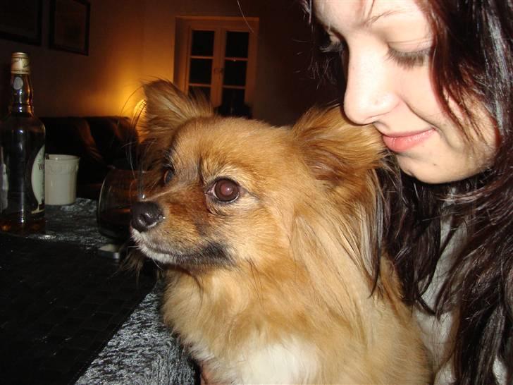 Blanding af racer timon billede 9