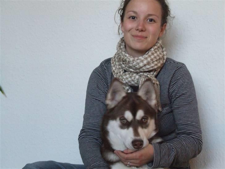 Siberian husky Lúa - Malene og Lua billede 12