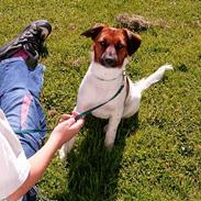 Blanding af racer Frida