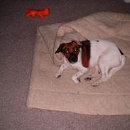 Blanding af racer Frida