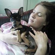 Dvaergpinscher Basse
