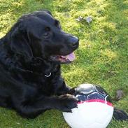 Blanding af racer Rico