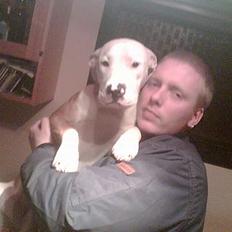 Blanding af racer Jackie