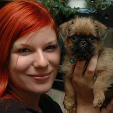 Griffon bruxellois Bacon