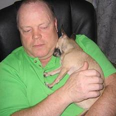 Chihuahua Nico *07.09.*