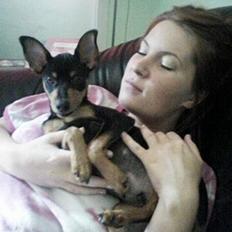 Dvaergpinscher Basse