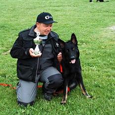 Schæferhund Tobila`s Felix