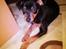 Dvaergpinscher Basse
