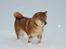 Shiba  - Luie *R.I.P*