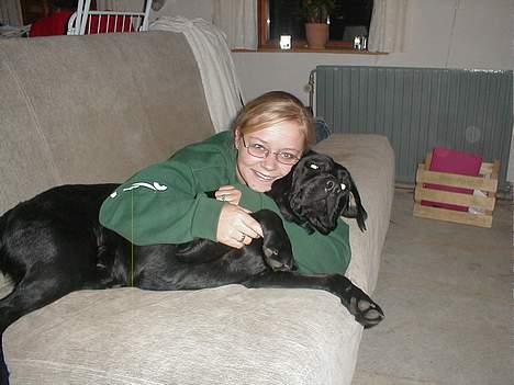 Labrador retriever Dumle - Hygger lige med mor billede 3