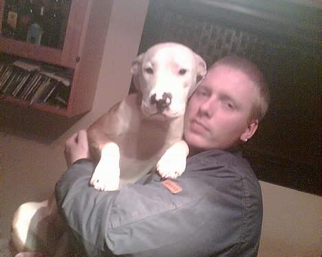 Blanding af racer Jackie billede 1