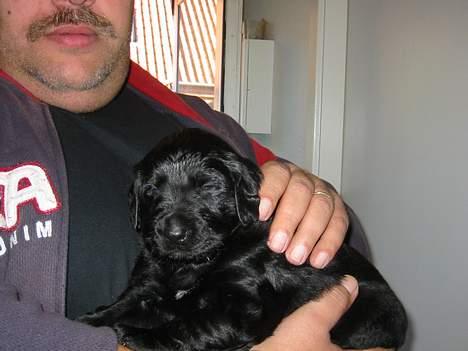 Blanding af racer Gustav - Uhauha...nu skal jeg ud og køre bil for første gang i mit liv. billede 3