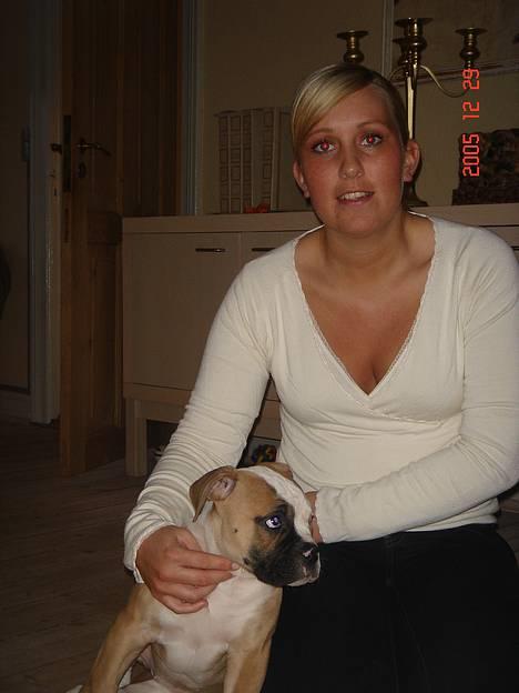 Amerikansk bulldog Østergaard's Chanti +Død  - D. 29/12 Moar... Du LOVEDE det var sidste billede billede 5