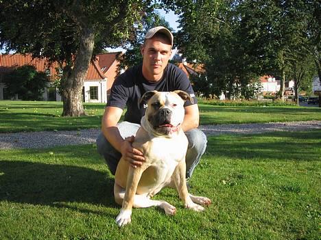 Amerikansk bulldog Østergaard's Chanti +Død  - D. 8/8 Mig og min far billede 8