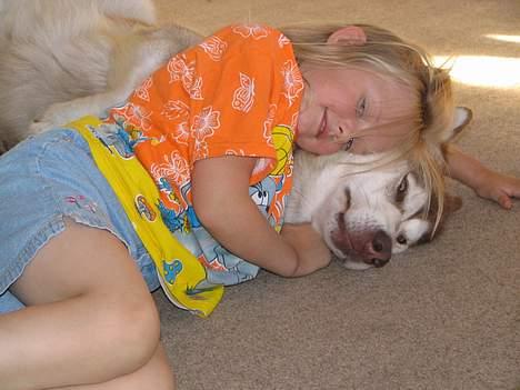 Alaskan malamute denali sunrise kald: desi - desi hygger med tenna 7 år. billede 3