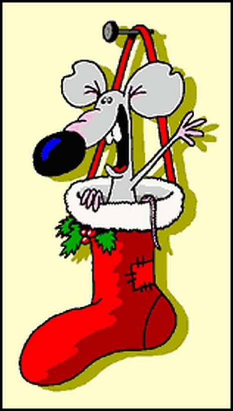 Dansk svensk gaardhund Sussie - den rare julemus billede 13