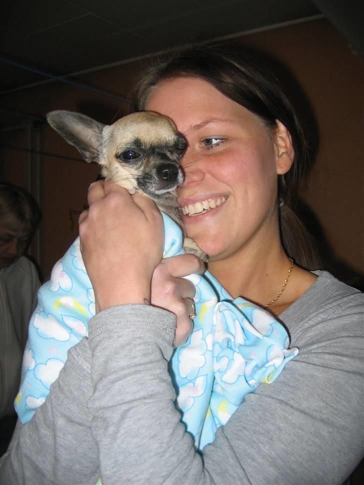 Chihuahua Nico *07.09.* - Mig og moar  billede 17