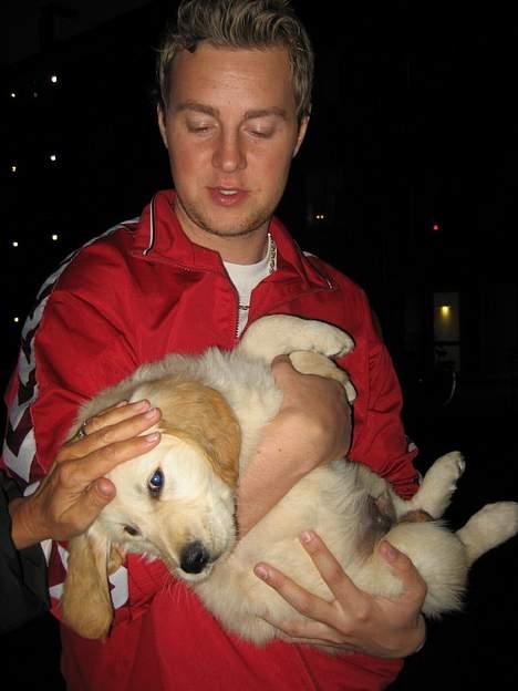 Golden retriever "McKenzie" - Her er den lille ny McKenzie i armene på far billede 3