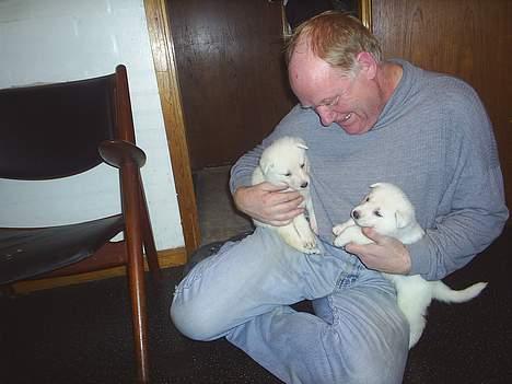 Hvid schæfer Rolf von American Canadia - Her er jeg til højre sammen med "farfar" og min bror Rasmus  billede 3