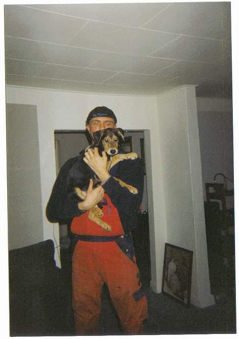 Blanding af racer simba - som lille er det altid dejligt at komme op til far....  billede 6