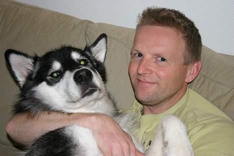 Alaskan malamute Nuna - fars pige vil gerne ligge i arm billede 5