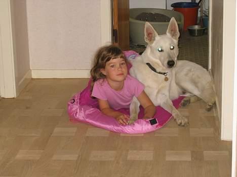 Hvid schæfer Tinka's Fonzi *Død* - Go´morgen lillesøster... billede 16