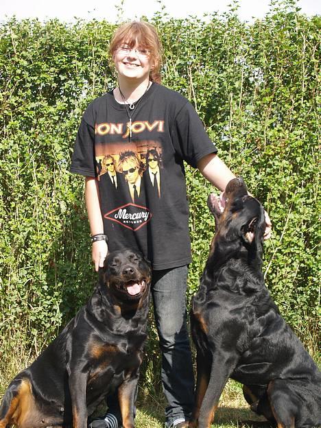 Rottweiler Mr.ChesterField  (09) - De dejlige dyr :P billede 7