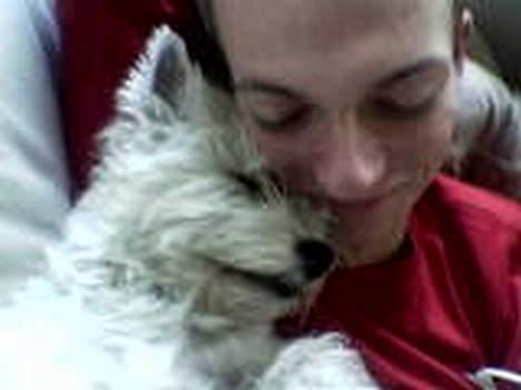 West highland white terrier Soffie - Mig og min ven... billede 7