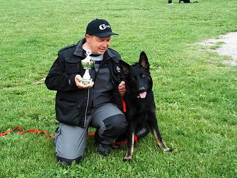 Schæferhund Tobila`s Felix - Mig og min " far " Har vundet hvalpeprøven billede 3