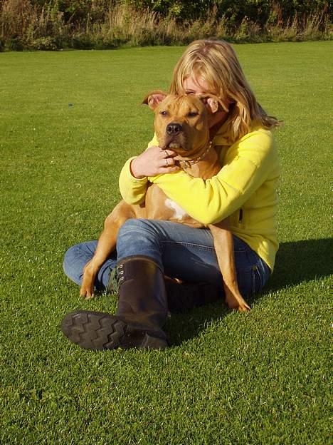 Amerikansk staffordshire terrier Koda - Hun holder jo FAST i mig :O Hun er dum hende storesøsteren billede 4