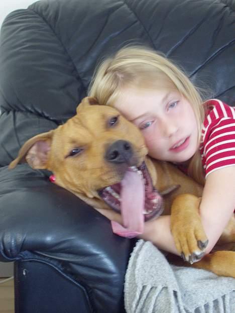 Amerikansk staffordshire terrier Koda - Gaaaaaaaaab!!! Koda og amalie er MEGET trætte... billede 6