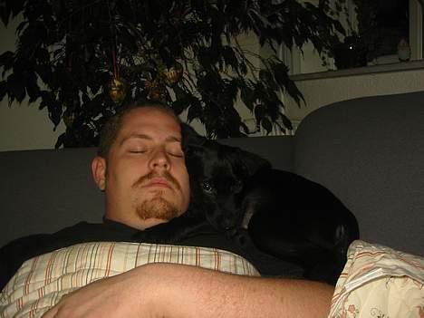 Blanding af racer speedy - jeg elsker at ligge oppe ved min far billede 4