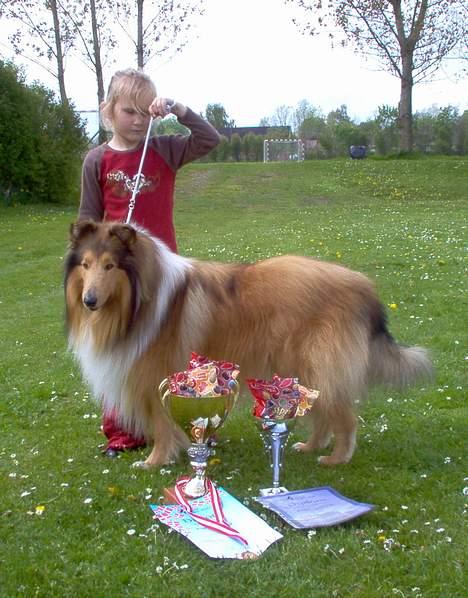Collie langhåret jackie - Isabella og jackie årets barn og hund i collieklubben billede 2
