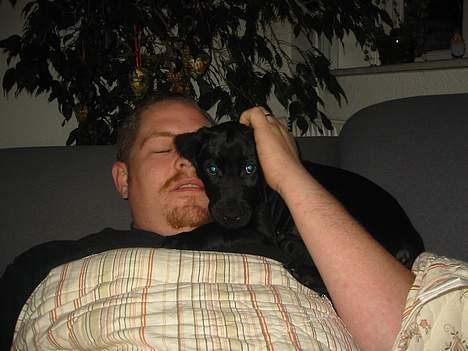 Blanding af racer speedy - jeg elsker at ligge hos far billede 12