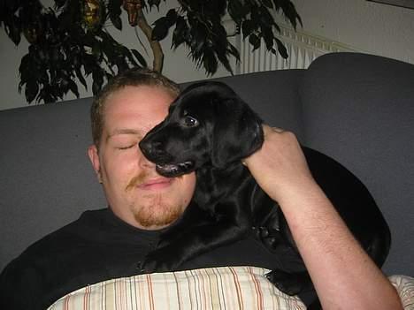 Blanding af racer speedy - vækker lige far billede 13